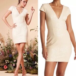 NWT Sequin Dress The Population Zoe Cocktail Dress